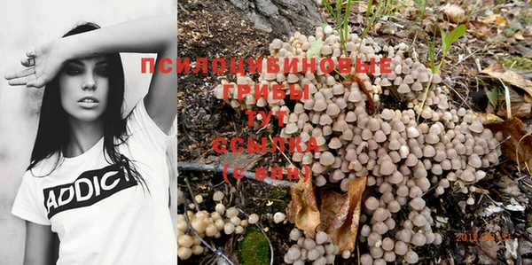 Альфа ПВП Армянск