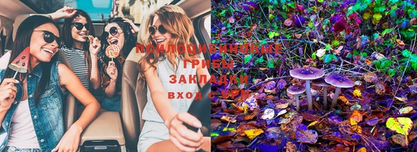 мяу мяу мука Арсеньев